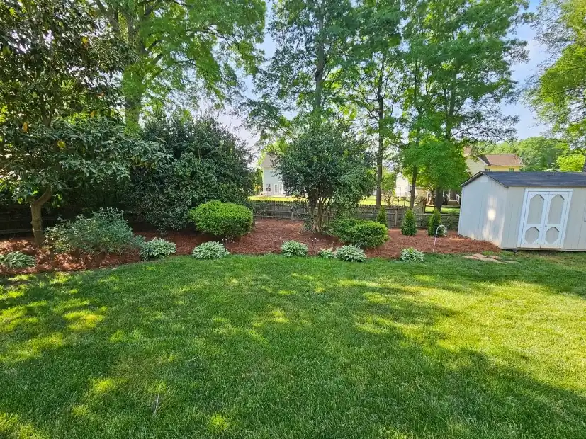 Landscape design project