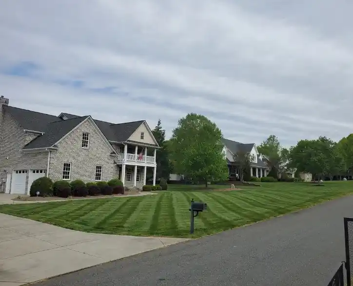 Lawn cleared and maintained by Lawn Firm