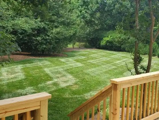 Lawn mowing service