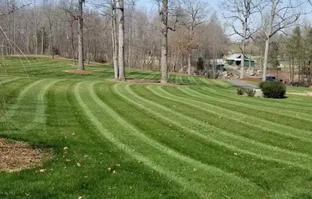 Freshly mowed striped lawn - landscape maintenance