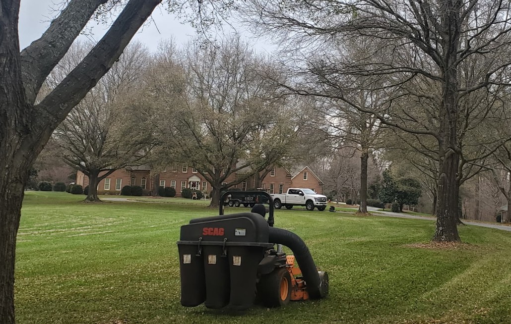 Professional leaf removal service