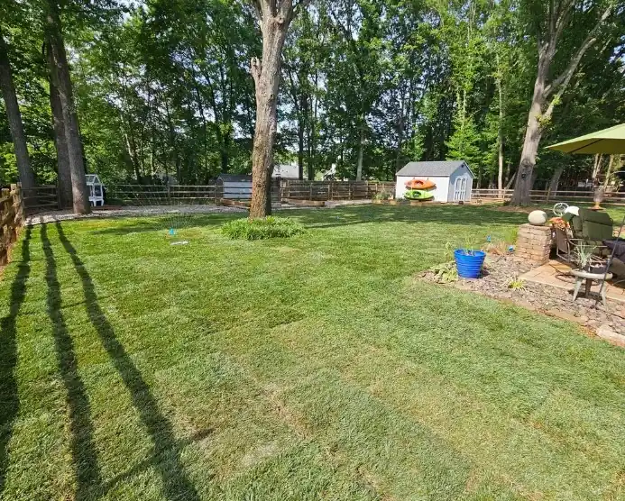 Completed sod installation